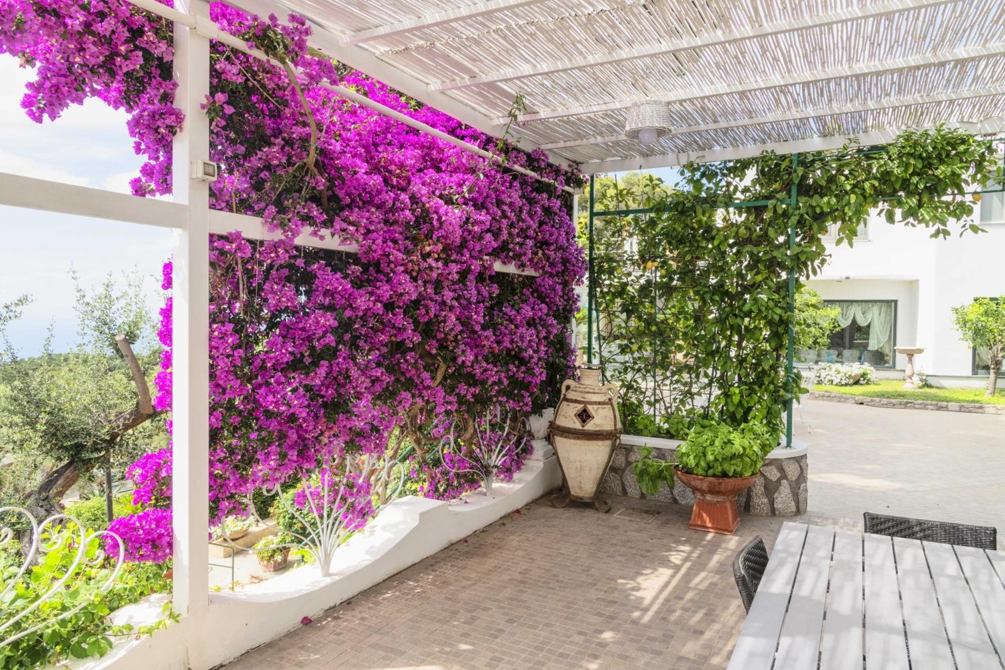 La Canostra Capri - Luxury Room Ad Anacapri エクステリア 写真